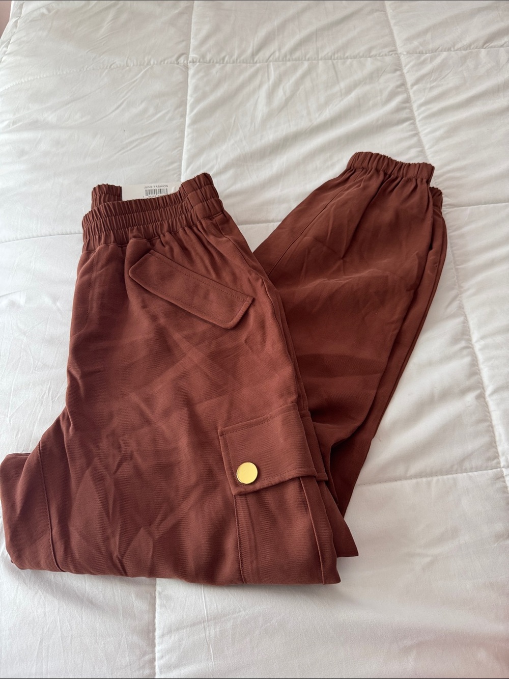 INC Rust Brown Cargo Jogger Pants